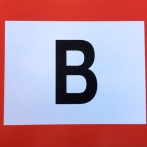Pictogram B